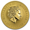 Australian Gold Kangaroo Reverse