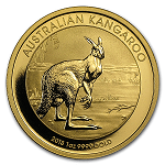 Australian Gold Kangaroo